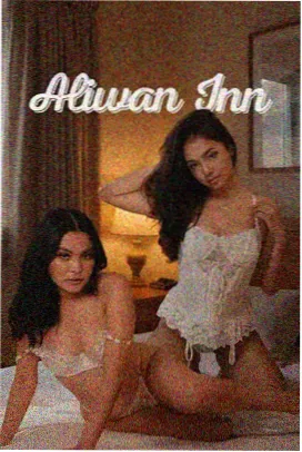 步履不停
